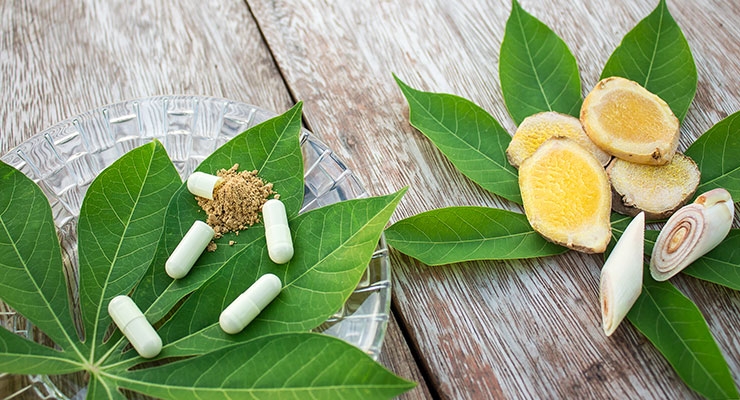 Developing Standard Reference Materials for Herbal Supplements