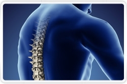 Despite Favorable Demographics, Spinal Implant Market to Show Flat Growth Through 2015
