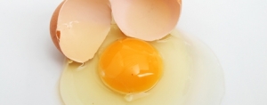 Chicken Feed, Eggs & Cholesterol

