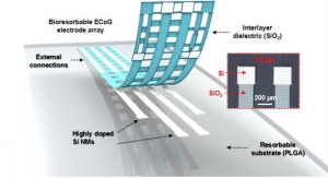 Flexible, Dissolvable Silicon Electronic Device Holds Promise for Brain Monitoring 