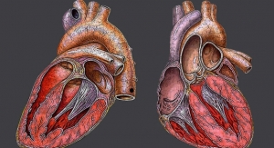 Challenges of Custom-Engineering Living Tissue to Fix a Heart