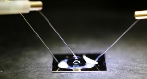 New Biosensor Chip Detects DNA Mutations