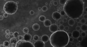 Microbubbles and Ultrasound Open Blood–Brain Barrier to Administer Drugs