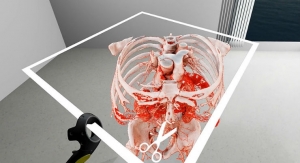 Virtual Reality in Medicine: New Opportunities for Diagnostics and Surgical Planning