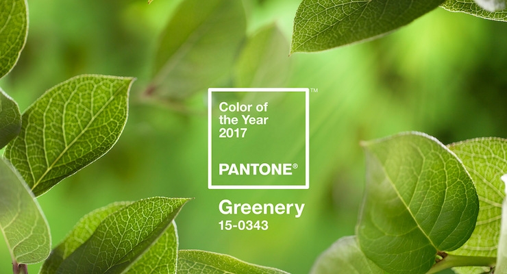 Greenery is Pantone’s Color of the Year 2017
