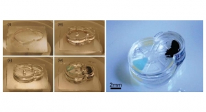 Manufacturing Complex Implantable Micromachines from Biomaterials