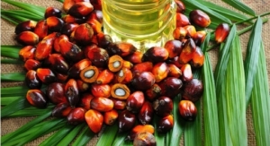 Evonik Expands Palm Oil Portfolio