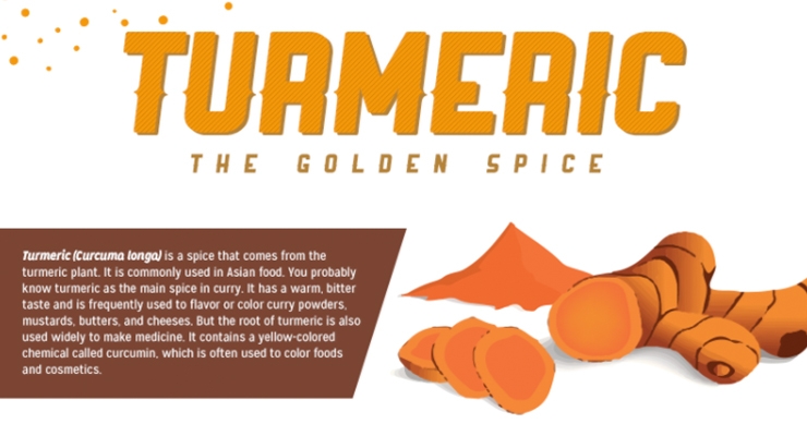 Spotlight on Turmeric: The Golden Spice