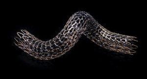 GORE TIGRIS Vascular Stent Gains Health Canada Approval for Treatment of PAD
