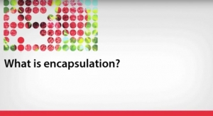 What is Encapsulation?