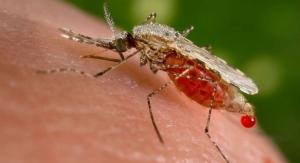 Alere Launches First-Ever Rapid Test to Screen Asymptomatic Malaria