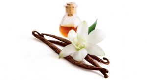 Vanilla: The Story of a Staple Scent