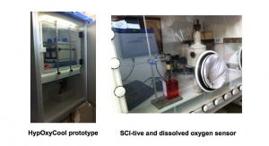 Rapid and effective modulation of dissolved oxygen levels in cell culture media for improved hypoxia