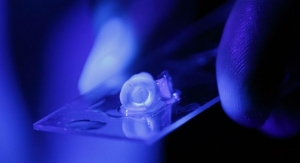 Prefabricated Blood Vessels May Revolutionize Root Canals