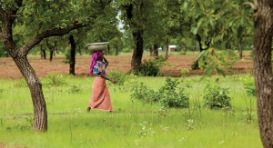 AAK Leads the Way in Sustainably-Sourced Shea