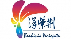 Bauhinia Variegata Ink and Chemicals Limited