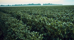U.S.-Grown Soybean Oil Achieves FDA’s Qualified Heart Health Claim