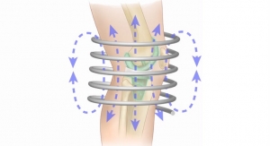 Magnetic Fields Wipe Out Bacteria from Artificial Joints