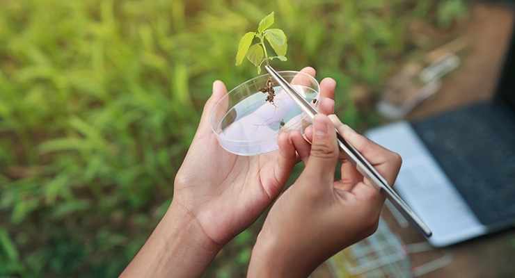 Partnership to Assess Accuracy of DNA Testing in Herbal Products