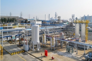 Wacker Building New South Korean Production Facilities for Dispersions, Polymer Powders