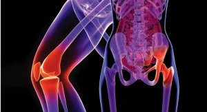 Bone Marrow Concentrate Improves Joint Transplants
