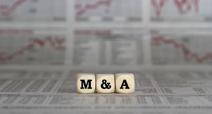 CMO/CDMO Sector  Mega-Mergers & Acquisitions