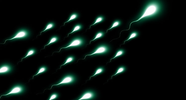 Sperm-Sorting 