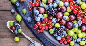 Consumers Seek Added Nutritional Boost from Antioxidants