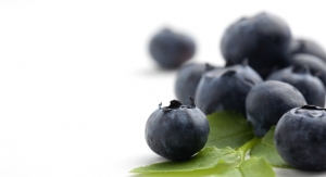 Anthocyanins from Berries Linked to Possible Cancer Treatment