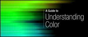 A Guide to Understanding Color