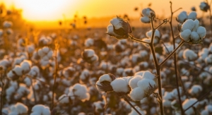 Texas Funds Cotton Research