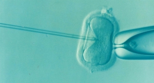 GE Healthcare and Vitrolife Partner to Improve Assisted Reproductive Technology Offerings