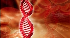 Applied DNA Announces CRO & CMO Milestones