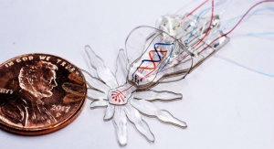 Soft, Miniature Multi-Functional Robots Could Offer Medical Solutions