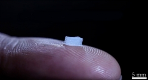 3D-Printed Scaffold Could Help Treat Spinal Cord Injuries