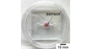 Biosensor Allows Real-Time Oxygen Monitoring for Organs-on-a-Chip