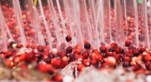 Fruit d’Or Nutraceuticals Demonstrates the Stability of PACs in its Cranberry Powder