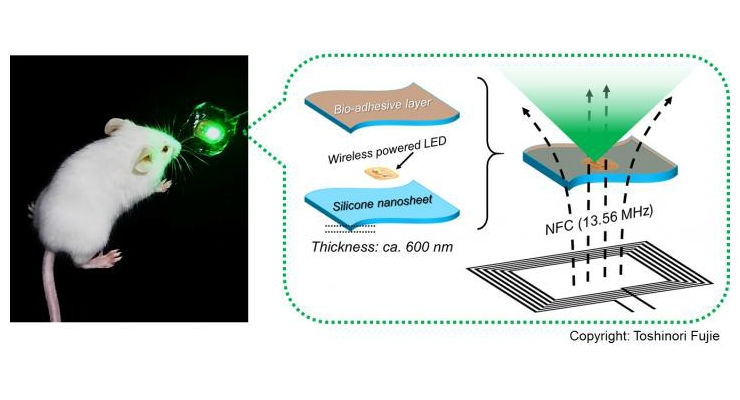 Bioadhesive, Wirelessly Powered Implant Emits Light to Kill Cancer Cells