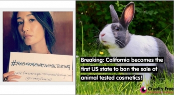California Bans The Sale Of Animal-Tested Cosmetics | Beauty Packaging
