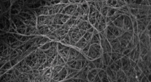 OCSiAl: No Ecotoxicity Found in TUBALL Single Wall Carbon Nanotubes