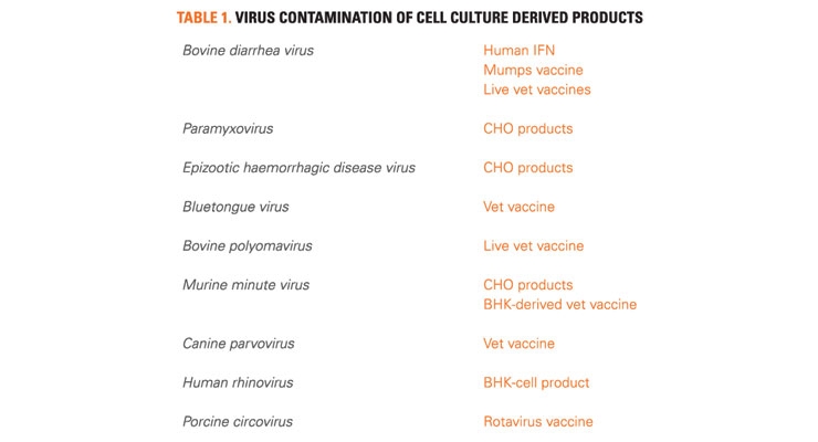 Viral Contaminant Testing in Biopharma Manufacturing