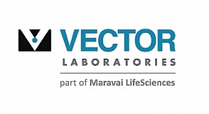Vector Labs Attains ISO 9001:2015 Certification 