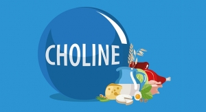 The Majority of Americans Aren’t Getting Enough Choline