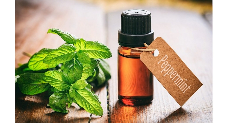 Growth Ahead for the Global Peppermint Oil Market