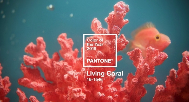 Pantone Picks 2019 Color of the Year