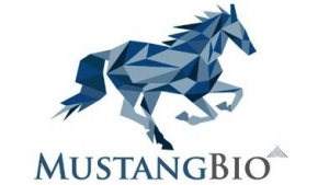 FDA Grants Mustang Bio ODD