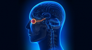 Vitamin K2 Status Linked to Brain and Eye Health