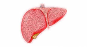 Early Screening Technology Helps Reduce Risk of Liver Disease 