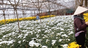 BASF’s Light Stabilizer for Greenhouse Films Helps Vietnam Farmers Increase Yields, Reduce Waste