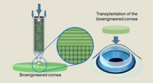 3D Printed Artificial Corneas Prove Similar to Human Ones